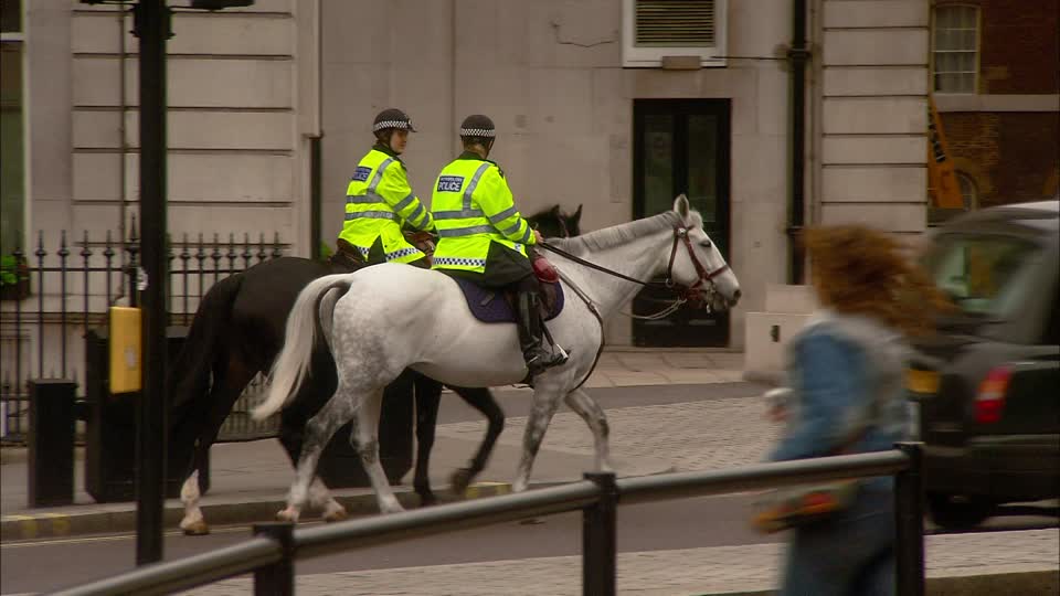 polizia a cavallo