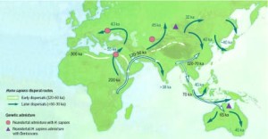 migrazioni-homo-sapiens