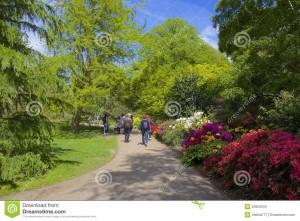 giardino-floreale-nel-parco-di-greenwich-londra-53920534